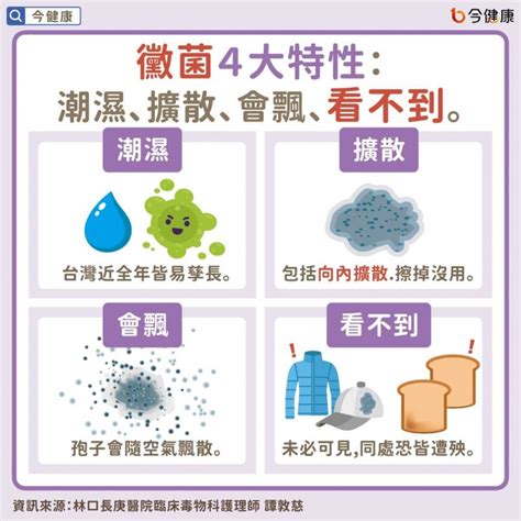 發黴|發霉 是什麼？原因、危害及預防方法一覽